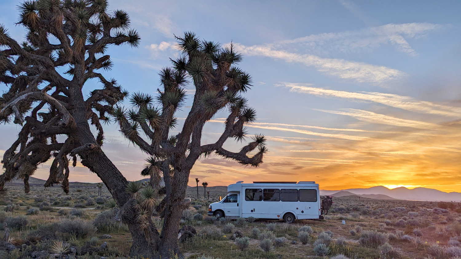 JoshuaTree_Bus